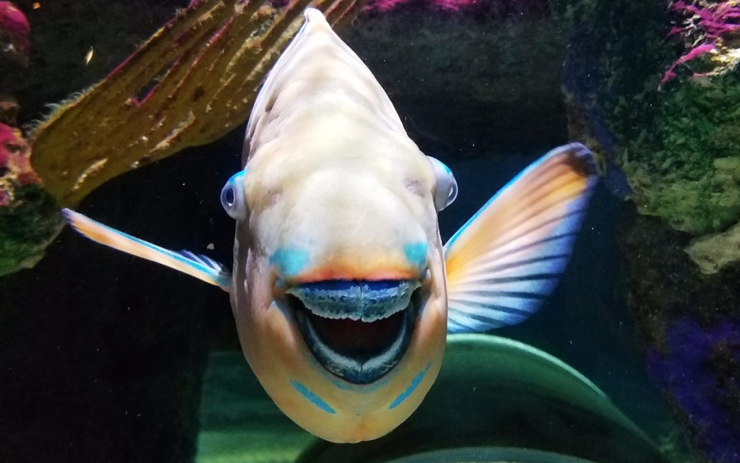 Business Tips: How Humour Can Increase Your Bottom Line 2024