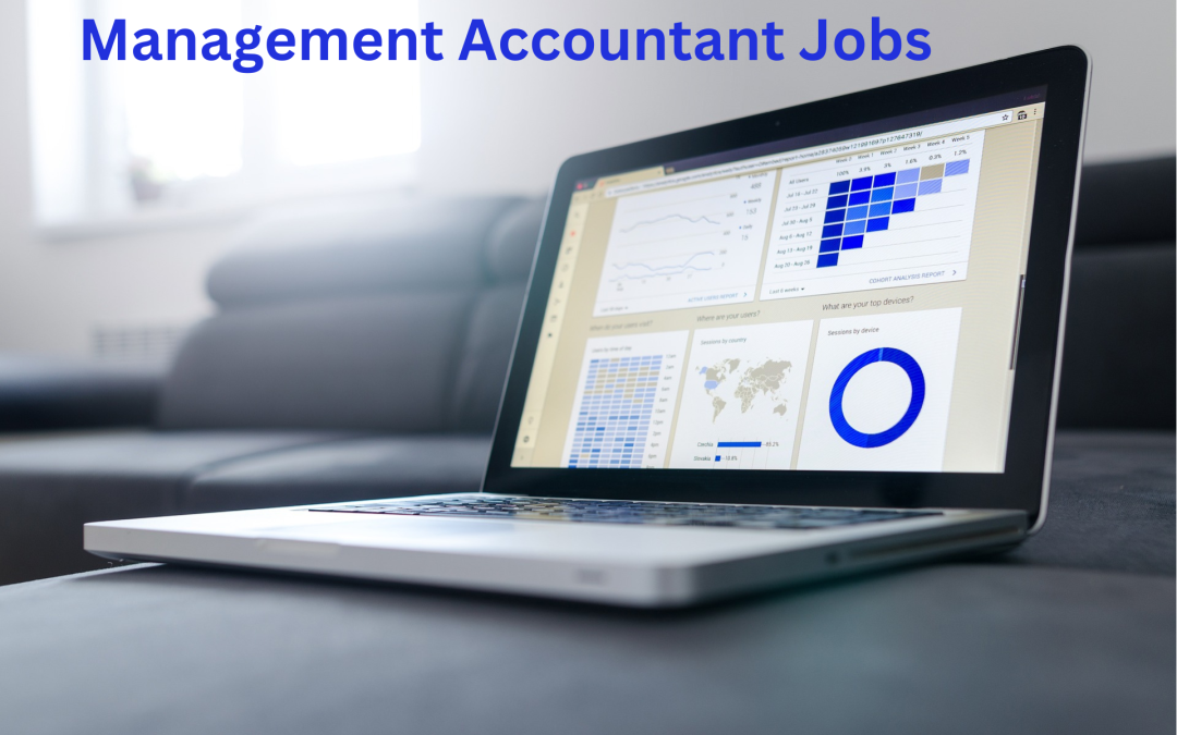 Strategies for Thriving in Management Accountant Jobs